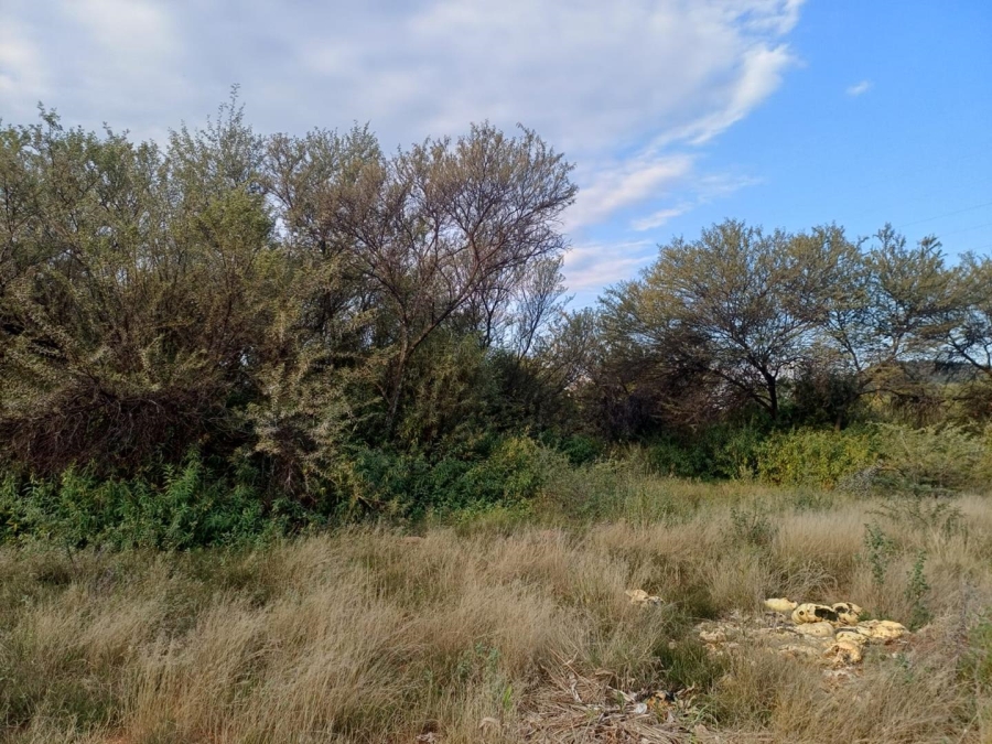 Commercial Property for Sale in Spitskop Free State